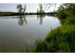 Property photo 21 - LAND AUCTION - 215+/- ACRES OFFERED IN 6 TRACTS IN VAN WERT COUNTY, OHIO
